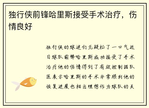 独行侠前锋哈里斯接受手术治疗,伤情良好